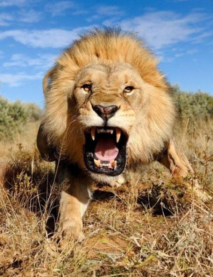 Ti meni kažeš da smirim živce?!