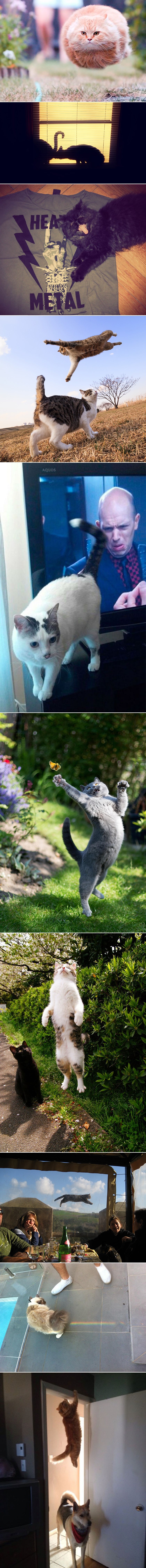 GALERIJA: Tajming nije mogao biti bolji