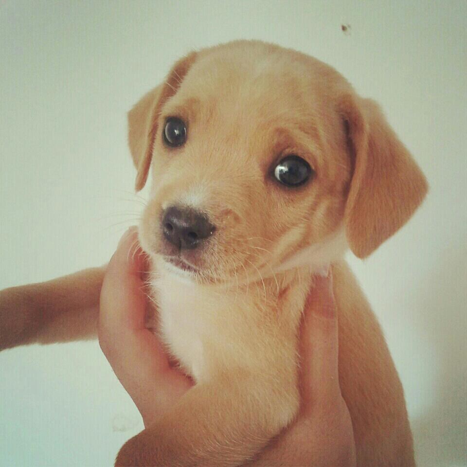 Komentar nepotreban - gledaj i topi se