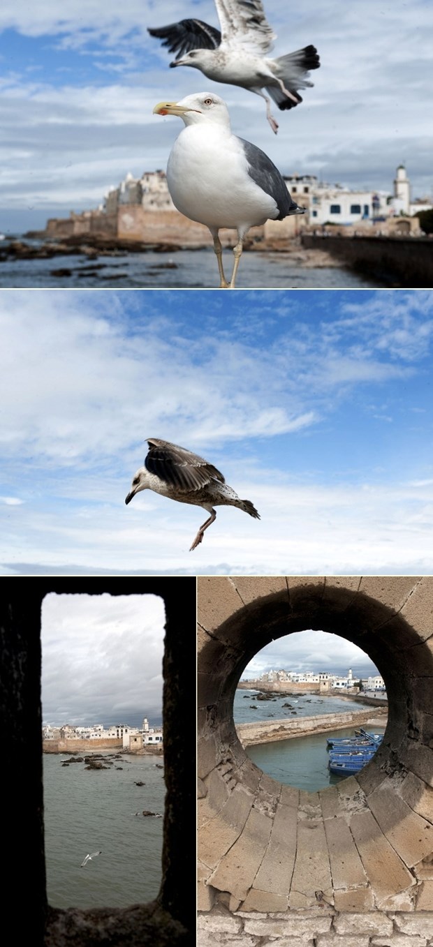 Razglednica iz Maroka