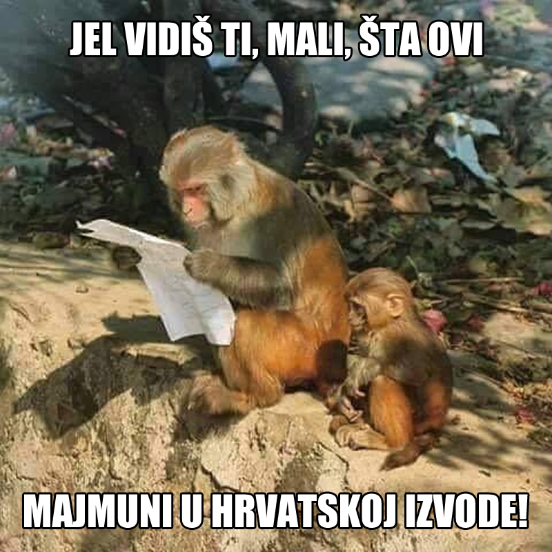 Padaju Vlada, BDP, broj stanovnika, nivo optimizma..