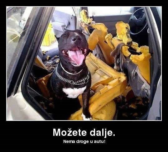 Carina razvila najučinkovitiju metodu traženja droge dosad