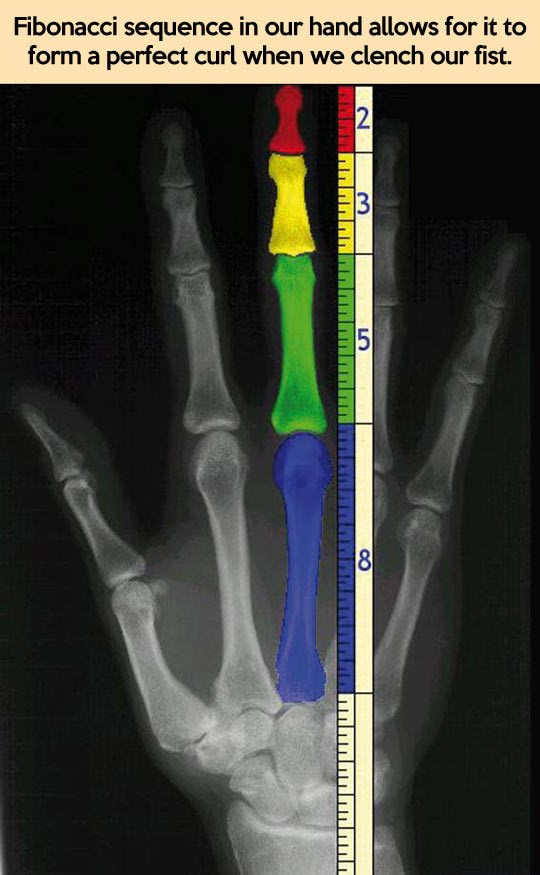Čovjek je doslovno slika i prilika Prirode i njenih zakona