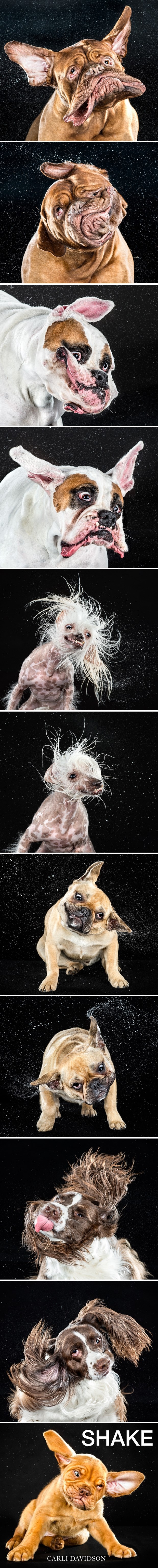 Shake that thing: Kad slina i dlake polete