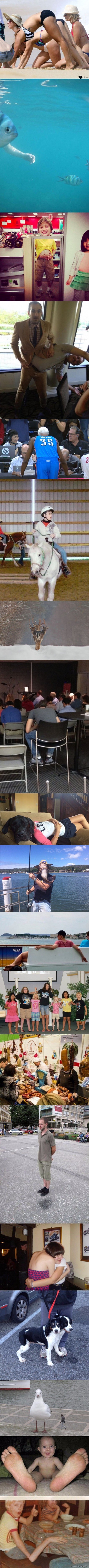 GALERIJA: Nije sve onako kako se čini...