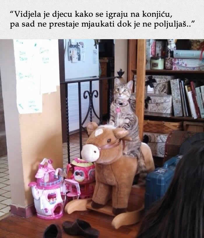 Ljudska navika jedne zaigrane mace