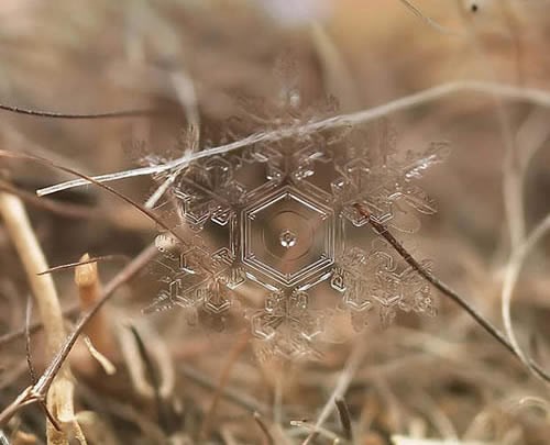 Posljednji trenuci snježne pahuljice