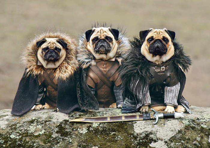Winter is coming