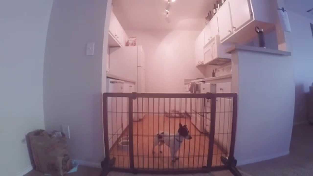 VIDEO: Mislio je da je stvar riješena, no mali ga je svjetski nadmudrio