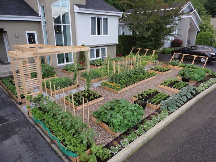 Kako vam se čini ideja o urbanim vrtovima?