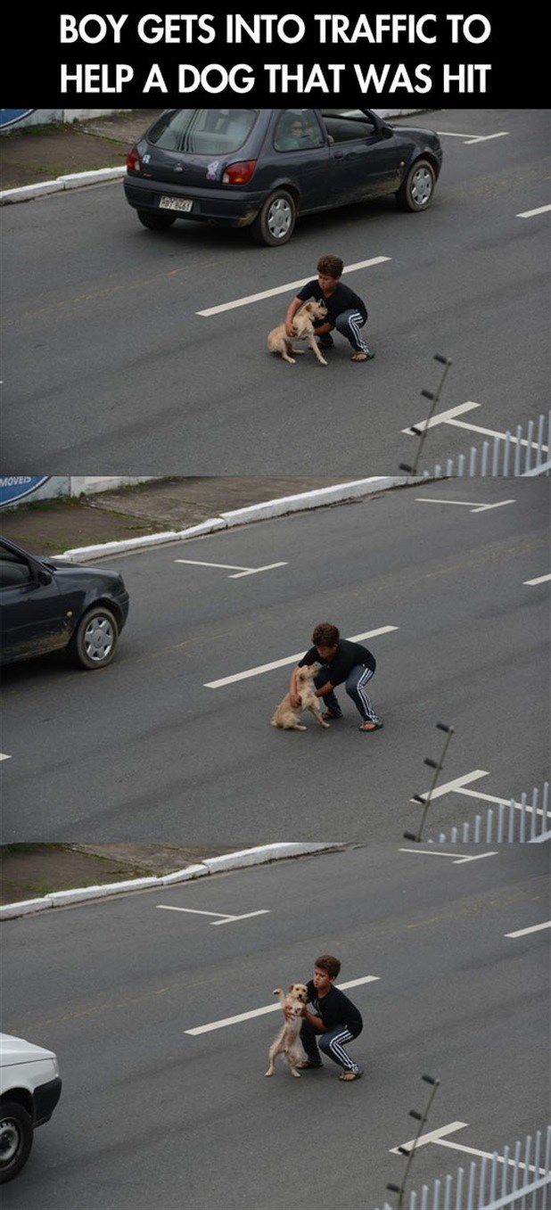 TopKlinci 2014: Hrabri dječak riskirao život za psića!