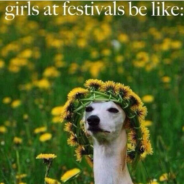 Dress code cura za glazbene festivale