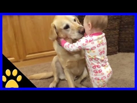 VJERNOST DO KRAJA: Psi brane bebe od batina!