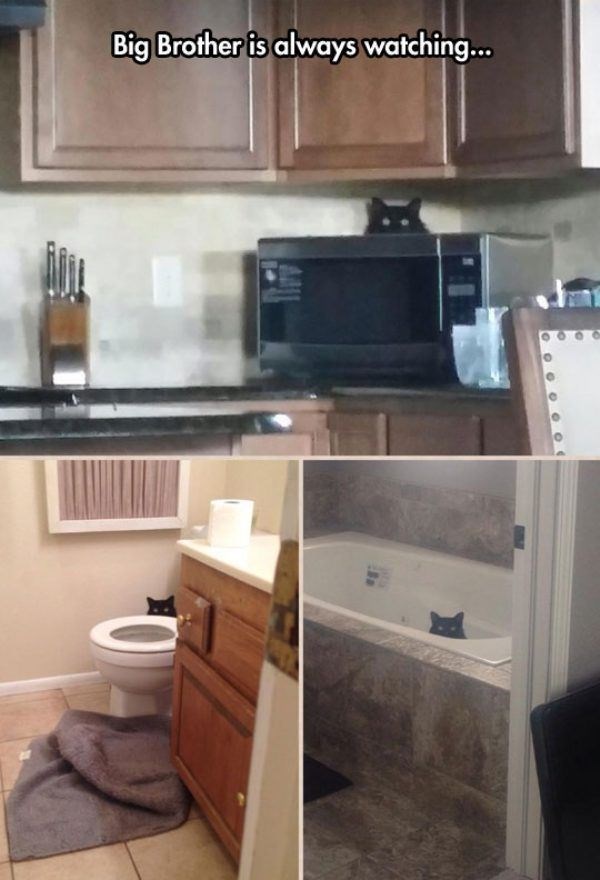 "Big Brother" te uvijek gleda