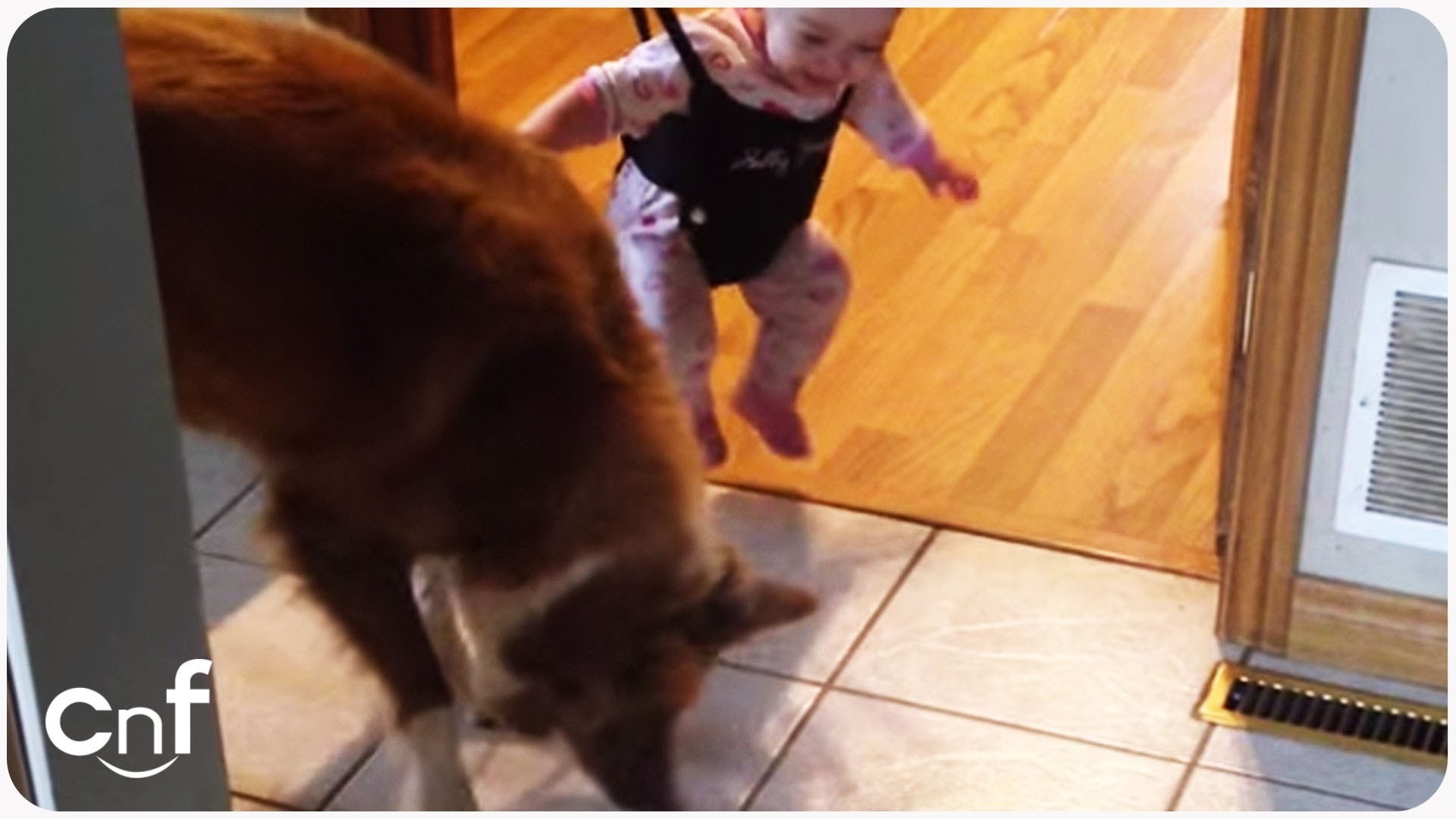 VIDEO: Suze od smijeha i premedenih frendića