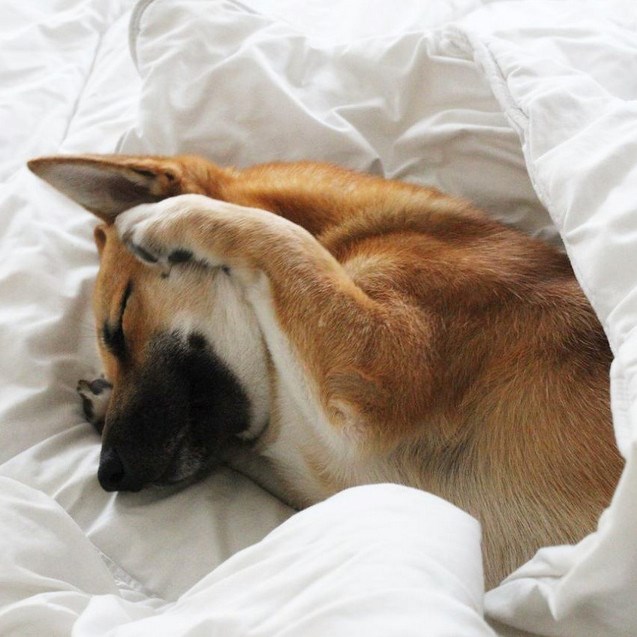 Pustite me, vikend je, makni seeeee!