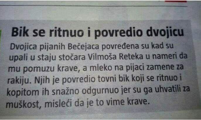 Bik je ozlijedio dva čovjeka, a sve se to dogodilo zbog rakije