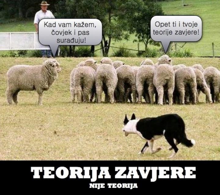 Jesmo li ipak naivne ovčice?