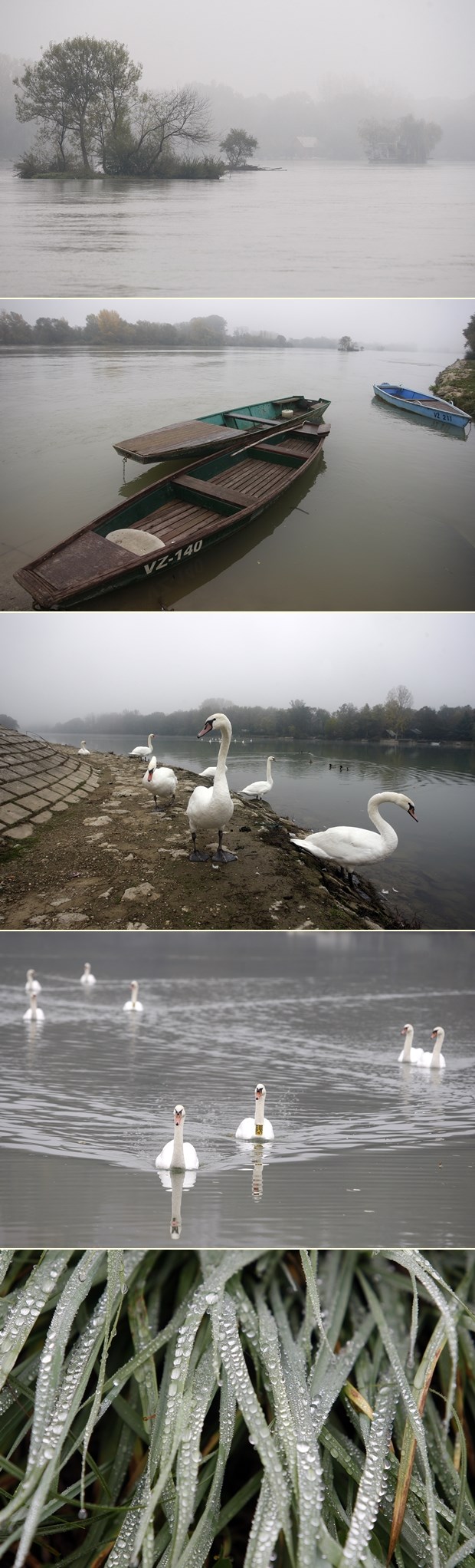 Tmurno jesensko jutro uz Dravu