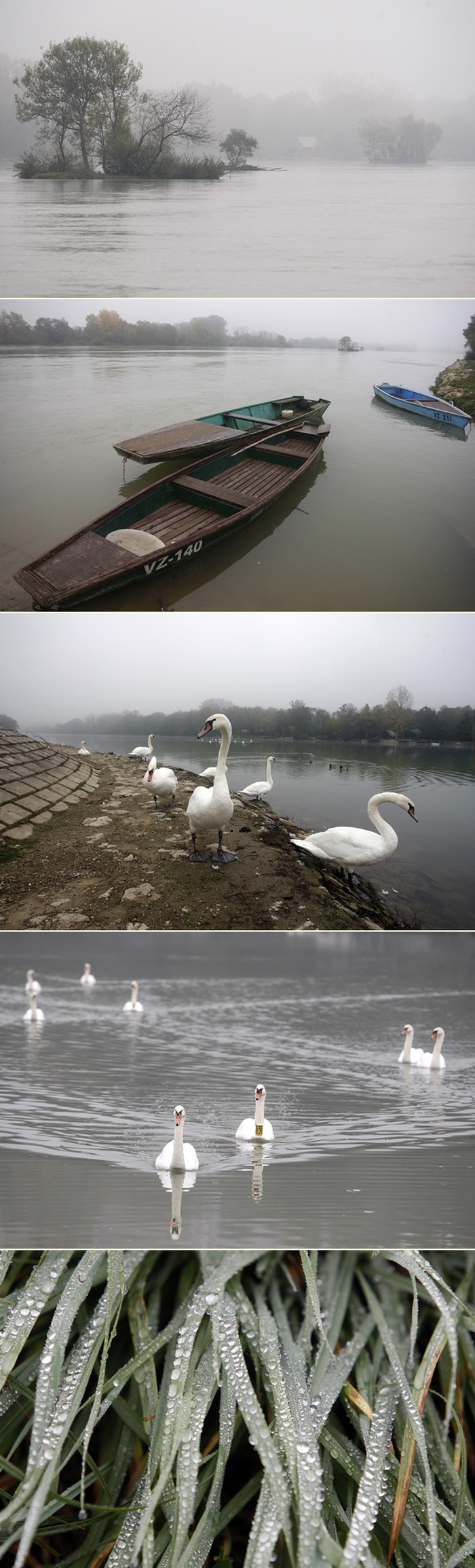 Tmurno jesensko jutro uz Dravu
