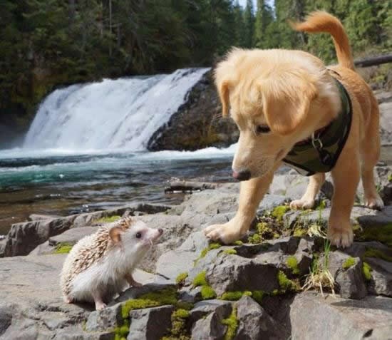 Šetnjica prirodom uvijek skriva lijepa iznenađenja