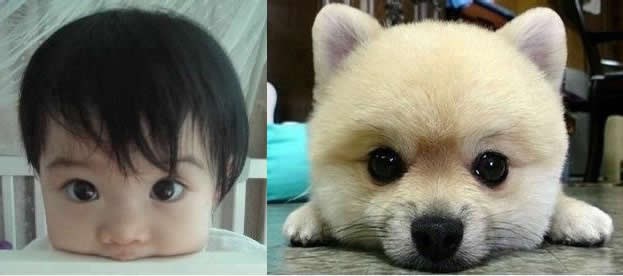 Slatkići čekaju na maženje, kako odlučiti?