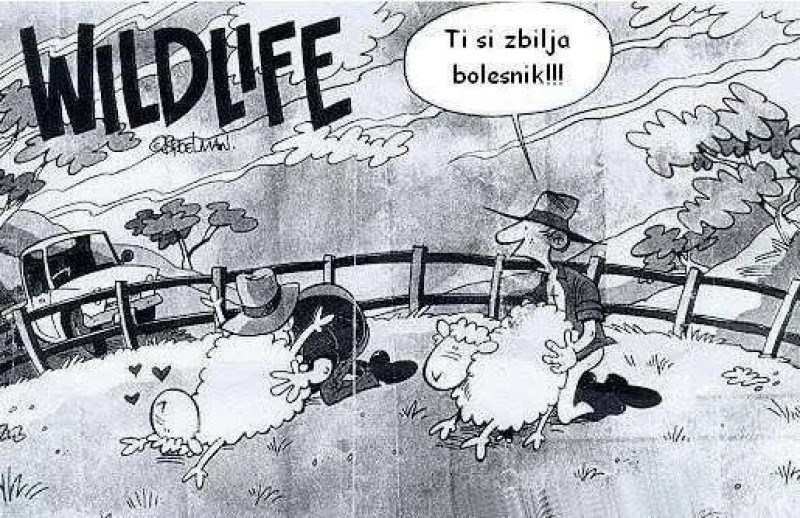 Uvijek daj 110 posto od sebe!