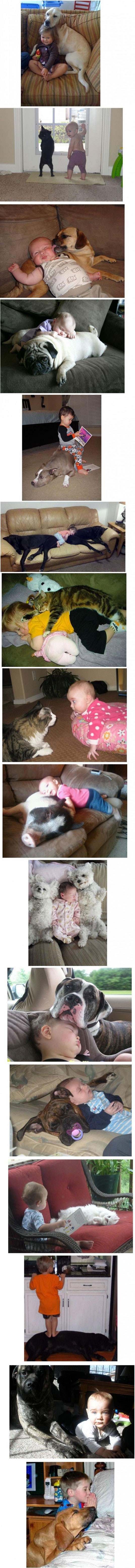 Klinci i ljubimci: Trpe te od malih stopala