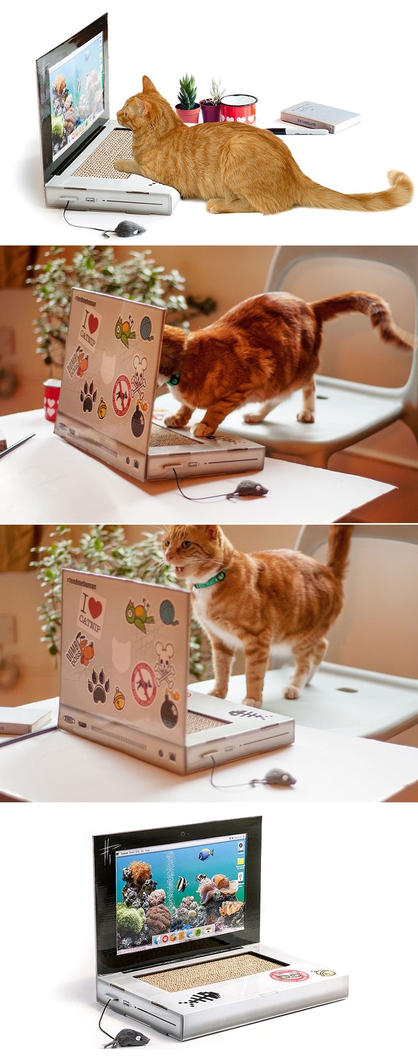 GALERIJA: Mačke su vam hakeri? Kupite joj laptop-grebalicu, a ne da vrši kriminalne radnje s vašeg!