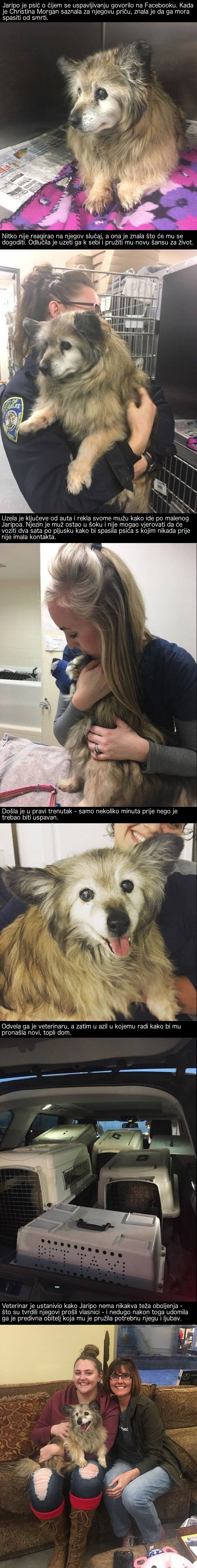 Kada je uočila njegovu fotografiju na internetu, ova je žena napustila sve i odlučila mu pomoći