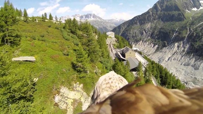 VIDEO: Stavio kameru na orla, snimio let!
