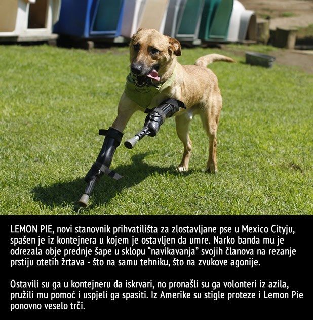 Kad naudiš najboljem prijatelju, gubiš pravo zvati se čovjek