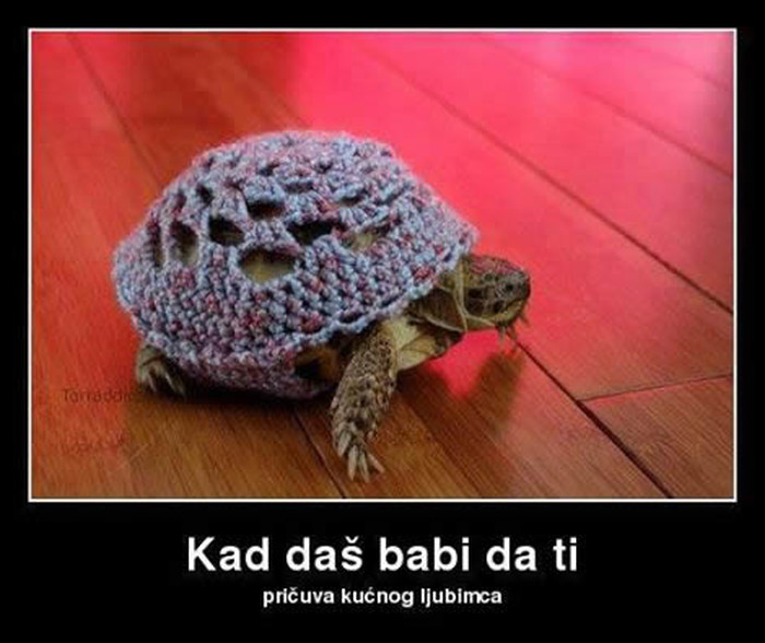 Kad baba čuva ljubimca