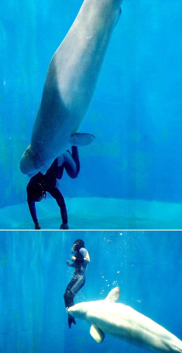 Kit spasio ronioca kojeg je uhvatio grč