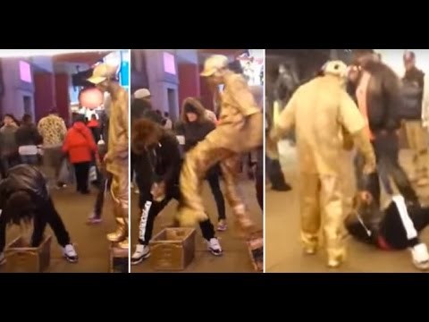 VIDEO: Krao lovu kipu, kip ga nokautirao!