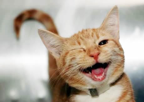 Probajte joj ne namignuti natrag!