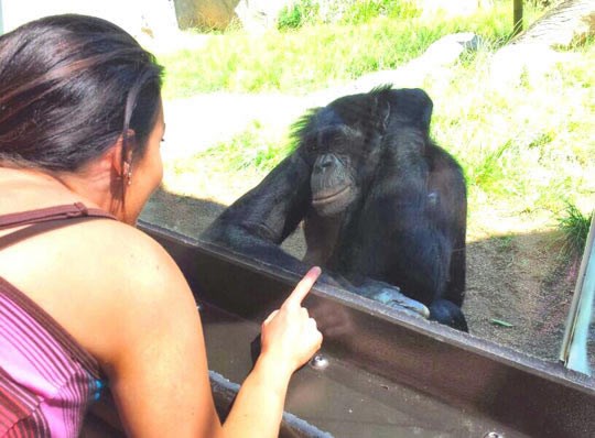 Stari moj, kad god se zaljubimo smo si majmuni, znaš?