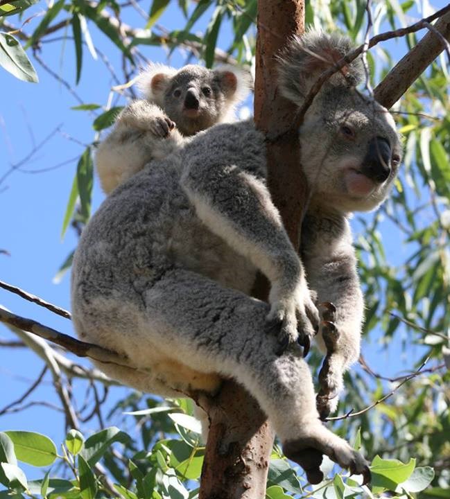 Mama, jel' to on nas fotka?