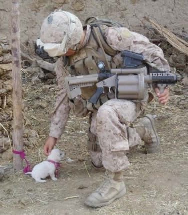 Zrnce veselja usred ratnog užasa - vojnik mazi peseka