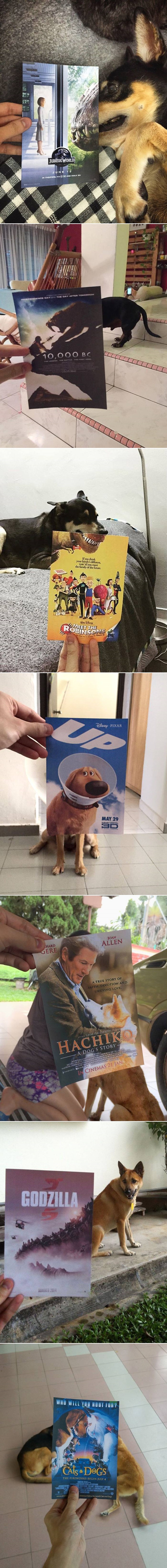 "Pretvori svog ljubimca u lik iz crtića ili filma" obišlo svijet