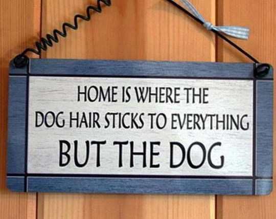 Dom nije gdje objesiš šešir