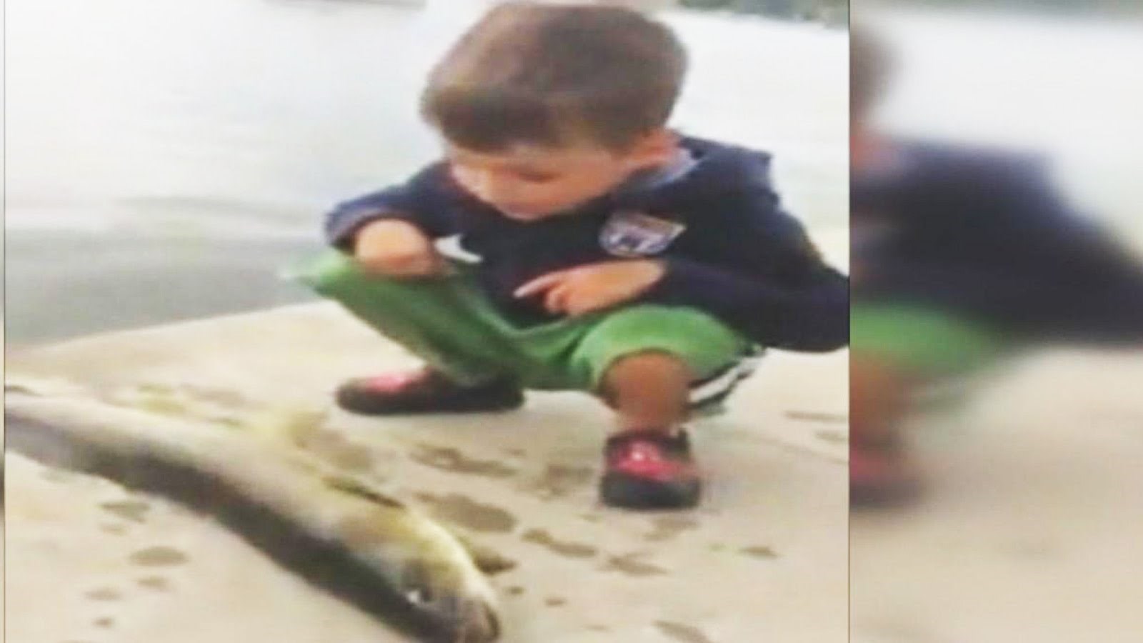 VIDEO: Riba nokautirala dječaka!