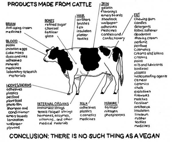 Vegani ne postoje