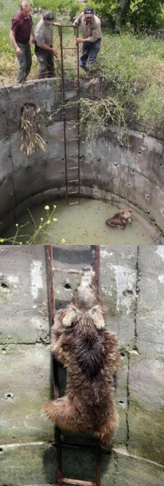 Tako je lako biti Čovjek