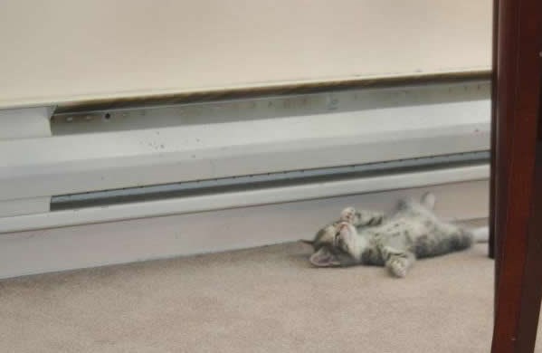 Opuštanje nakon stresnog dana papanja i igre