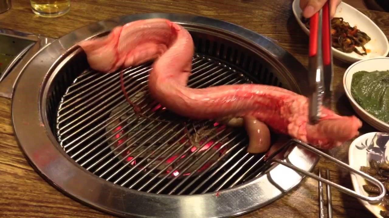 VIDEO: Jegulja neočekivano oživjela!