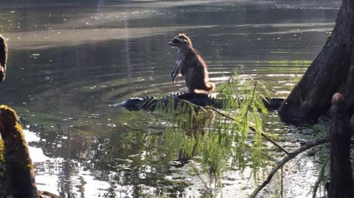 Suradnja je prirodna, samo mi nešto glumatamo
