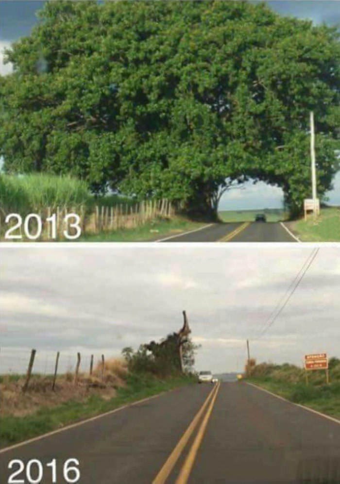 Ova slika je odličan sažetak čovjekovog odnosa prema prirodi