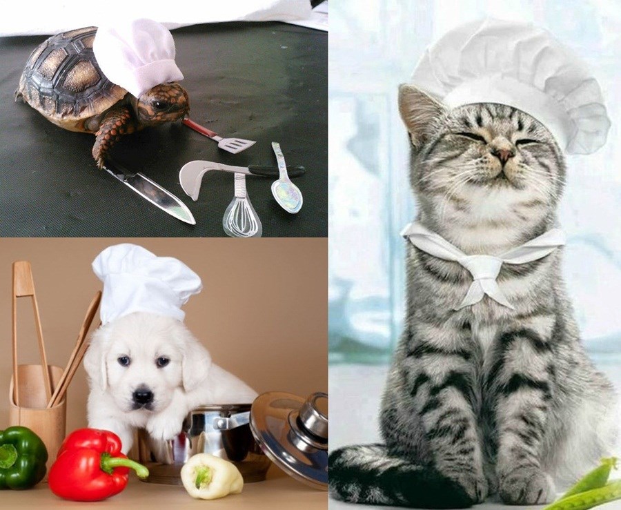 Preslatki mali kuhari