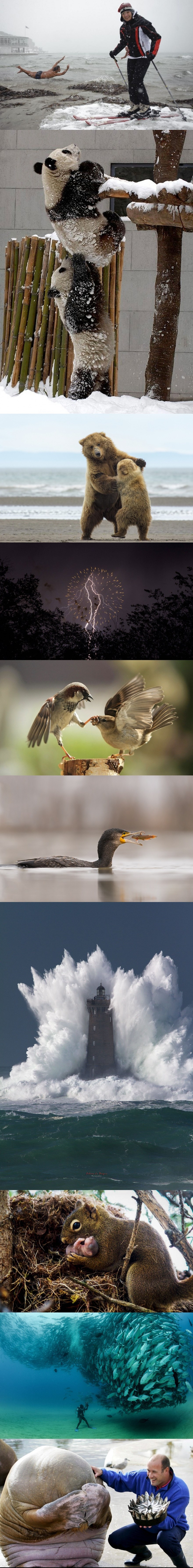 Deset fotografija koje su zabilježene u pravom trenutku 